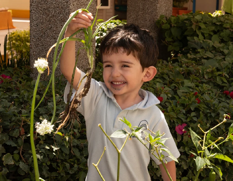 Niño del nivel maternal mostrando su actividad de jardinería, aprendiendo sobre la naturaleza.